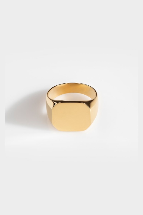 Northern Legacy Ring Classic Signature Gold 
