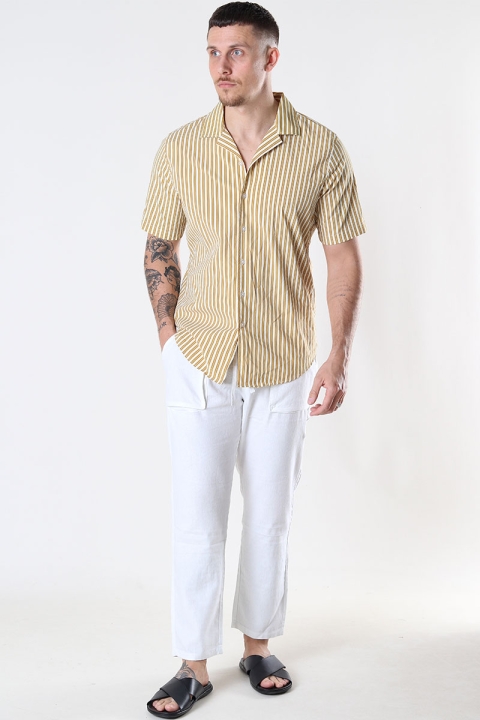 Just Junkies Branc Shirt SS Misted Yellow