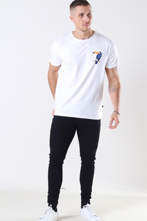 Clean Cut Tucan T-shirt White