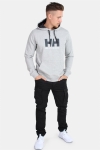 Helly Hansen Logo Hoodie Grey Melange
