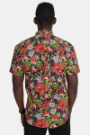 Kronstadt Johan Exotic S/S Shirt Forest/Red